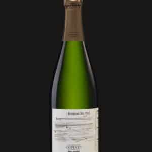 Champagne Marie Copinet - Blanc de Blancs Brut Nature