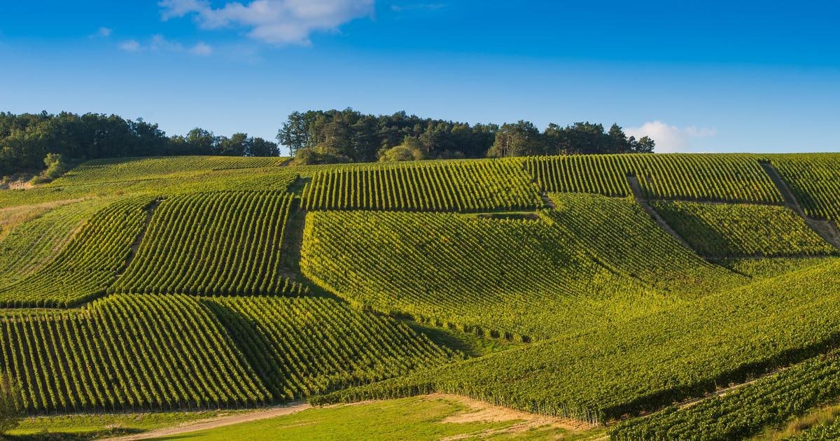 Qu&rsquo;est-ce que la méthode champenoise ?