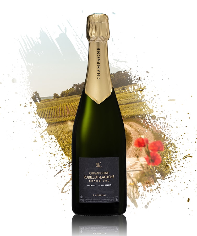 Brut-Blanc-de-blancs